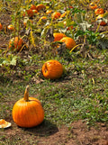 October Sun