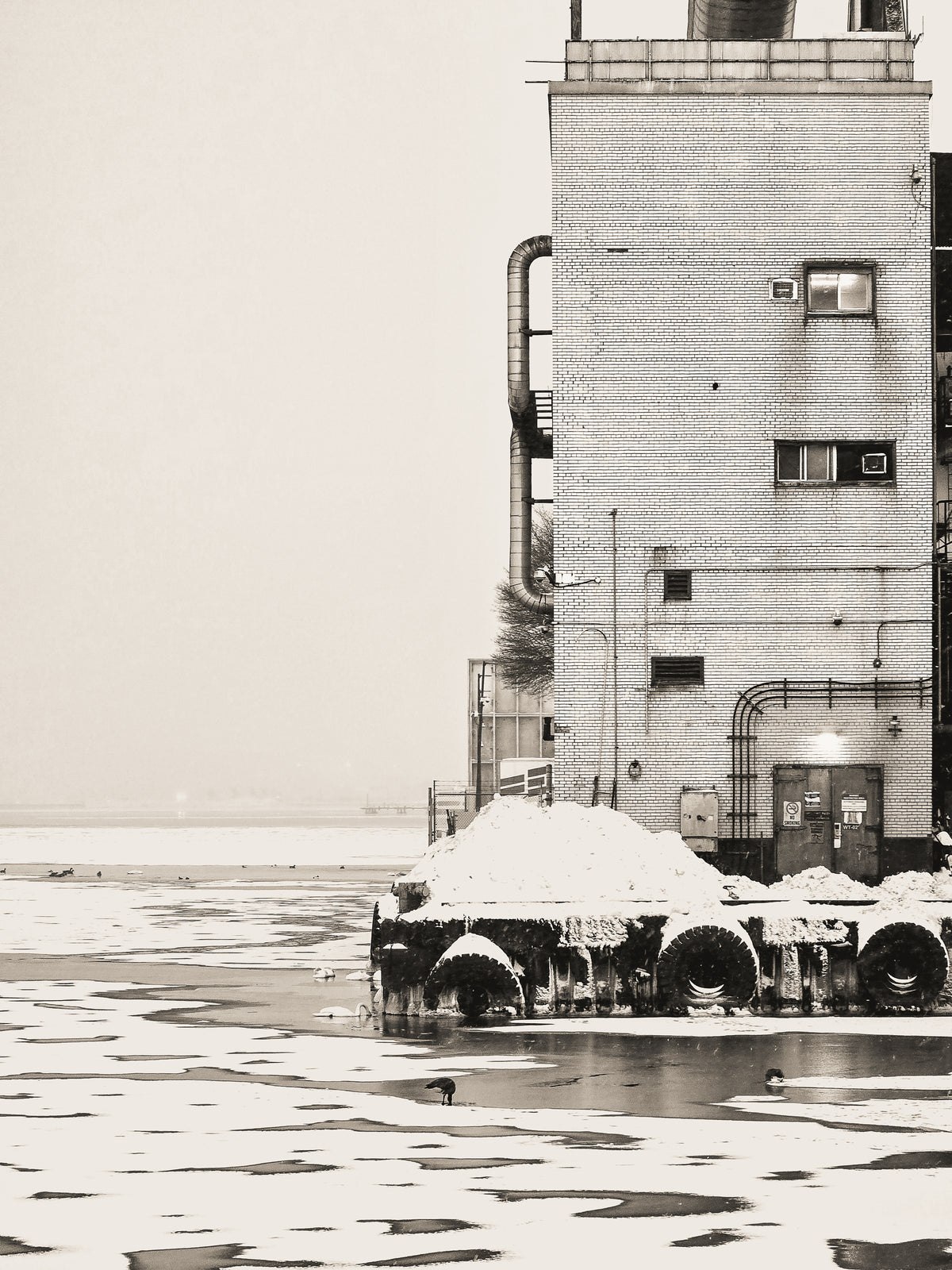 When the World Stops B&W
