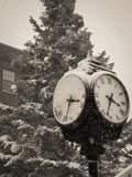 Festive Season B&W