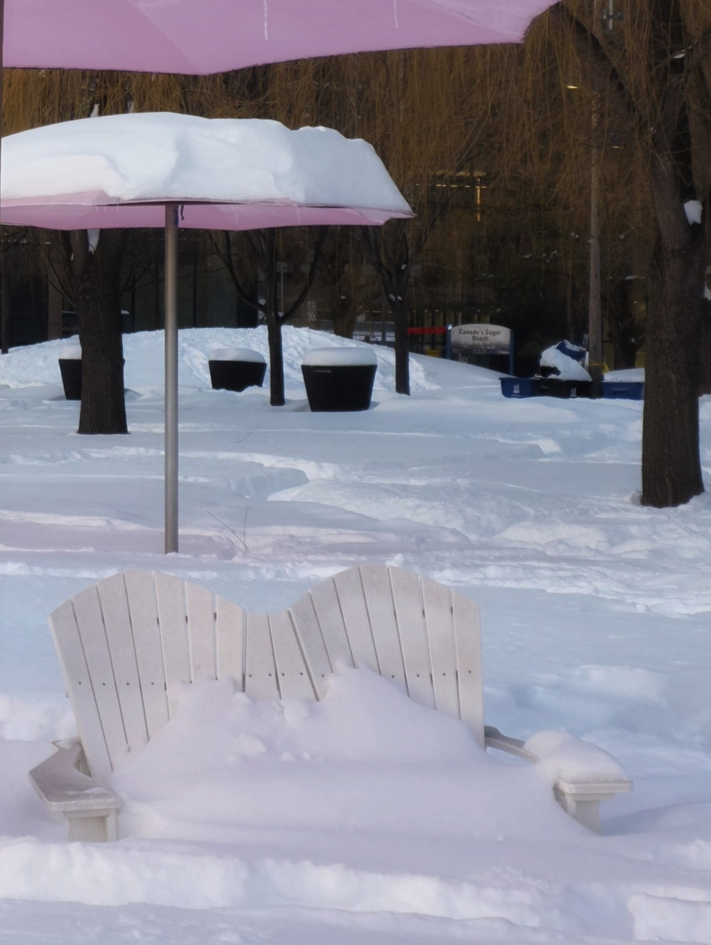 Waiting For Summer